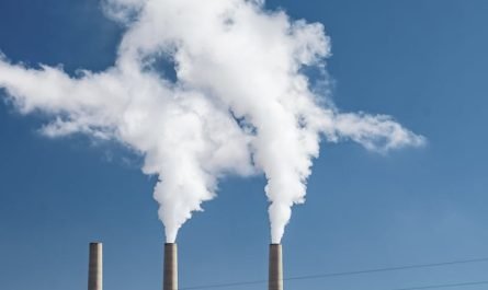 Stratégie Scope 3.1