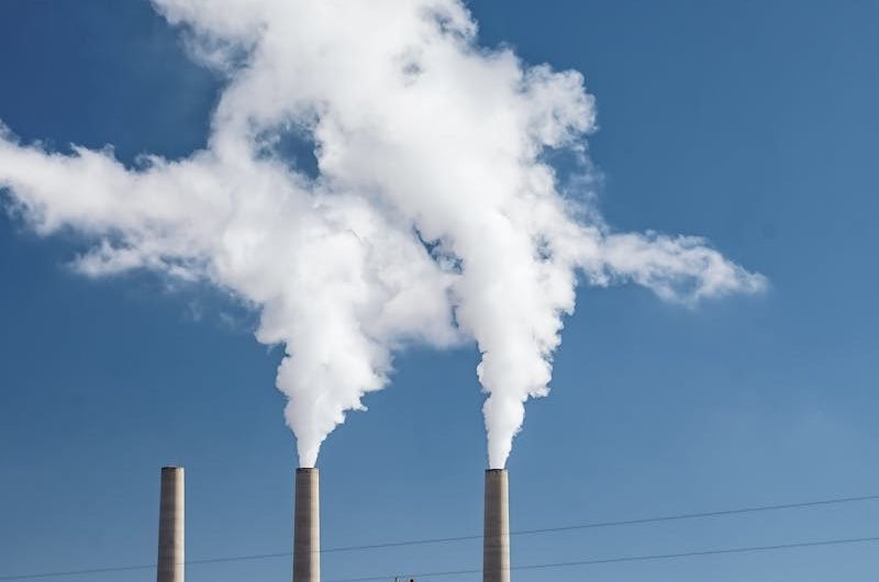 Entreprises : réussir votre stratégie Scope 3.1 pas à pas