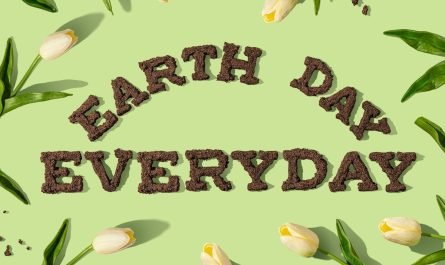 Habitudes écologiques