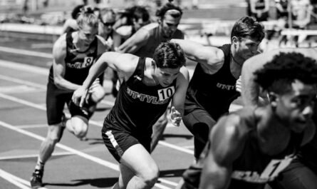 Sport Insights Group