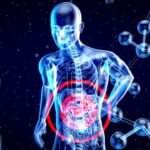 microbiote et digestion