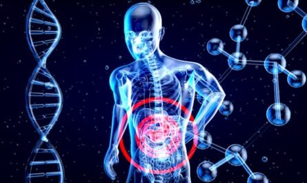 microbiote et digestion