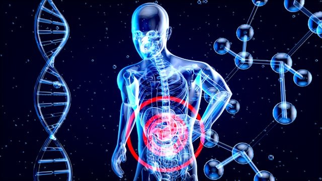 Le rôle du microbiote dans la digestion et le bien-être