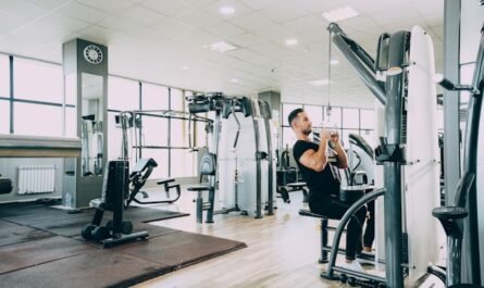 routine de musculation